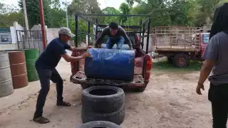 Apicultores de José María Morelos registran buena cosecha de miel gracias a las lluvias de mayo  