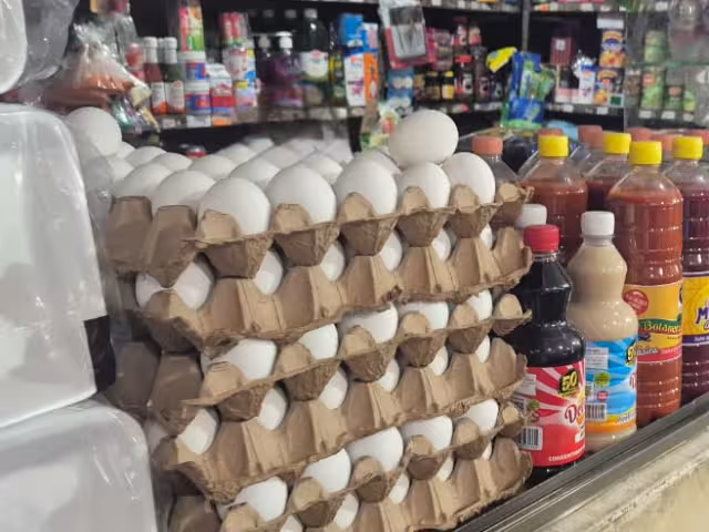 Huevos más caros y de menor calidad: el dilema de consumidores en Champotón