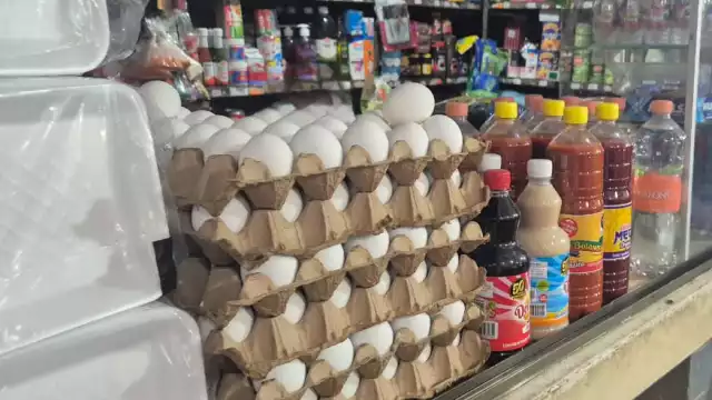 Huevos más caros y de menor calidad: el dilema de consumidores en Champotón
