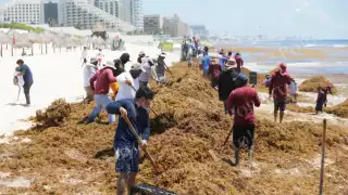 “Quedé sorprendida, el agua es ahora café": Sargazo en Playa Delfines vuelve a sorprender y decepcionar a turistas