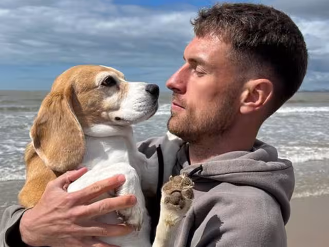 Halo se perdió hace una semana en San Miguel de Allende