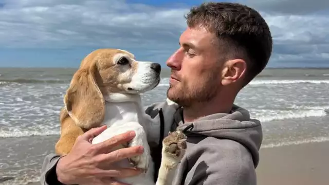 Halo se perdió hace una semana en San Miguel de Allende