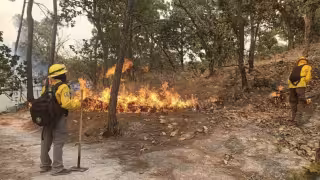 Suman más de dos mil hectáreas consumidas por  incendios forestales en Hopelchén, Campeche