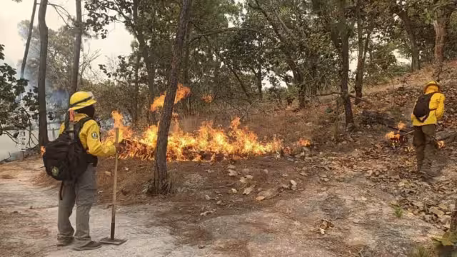 Más de dos mil hectáreas han sido consumidas por el fuego en Hopelchén