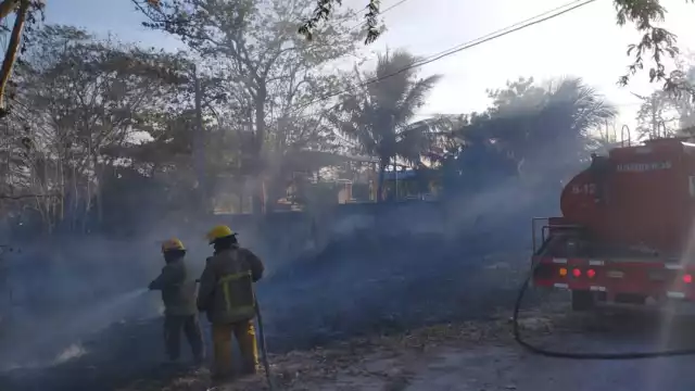 Bomberos controlan incendio de maleza en la colonia Ignacio Zaragoza