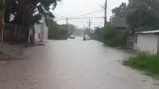 Lluvias generan inundaciones en las colonias Revolución y Salsipuedes en Escárcega  