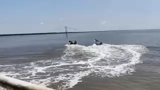 Pescadores de Isla Arena dan ultimátum a buzos foráneos en Campeche: Dos días para que salgan