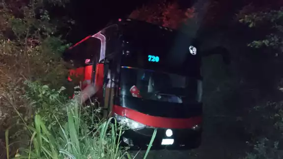 Un autobús de pasajeros perdió los frenos y el conductor perdió el control del vehículo, saliendo de la carretera Escárcega-Xpujil Un autobús de pasajeros perdió los frenos y el conductor perdió el control del vehículo, saliendo de la carretera Escárcega-Xpujil