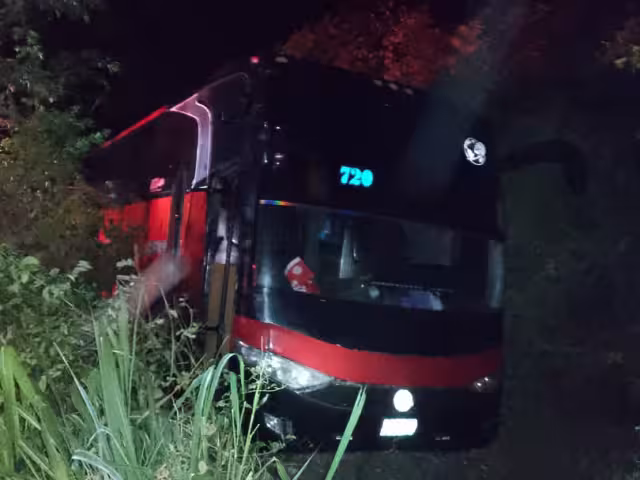 Un autobús de pasajeros perdió los frenos y el conductor perdió el control del vehículo, saliendo de la carretera Escárcega-Xpujil