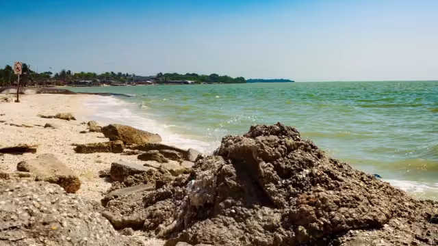 La primera entrega del trabajo estará dedicada a la colonia La Manigua