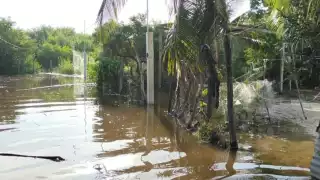 Pobladores de Ciudad del Carmen,  víctimas del pleamar 