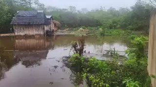 La zona también es afectada por escurrimientos de las partes altas de Quintana Roo