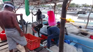 Pescadores de Campeche recibirán 4 mil pesos por baja captura