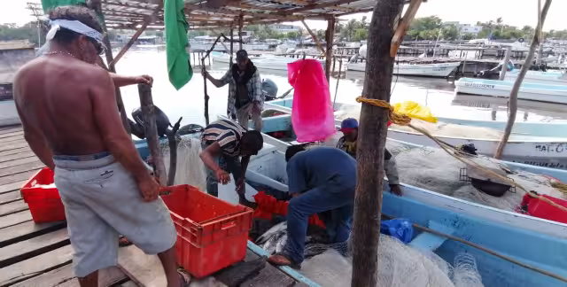 Pescadores de Campeche recibirán 4 mil pesos por baja captura
