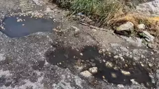 Campeche hundido en sus baches, denuncian en Bellavista 