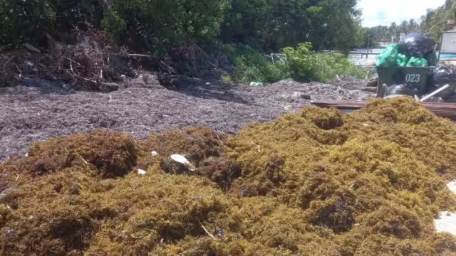 Se espera que la problemática no afecte durante el periodo vacacional