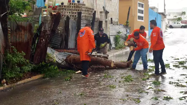 Las afectaciones incluyeron encharcamientos, ventarrones y la caída de un árbol en la colonia Miramar