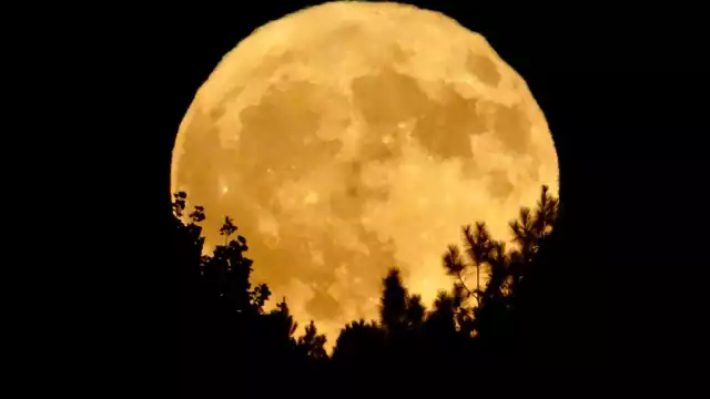 Superluna de Cosecha ilumina Campeche este lunes 6 de octubre: ¿A qué hora será y dónde verla?