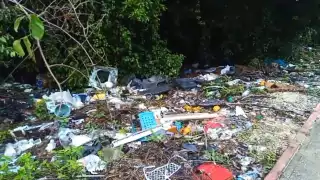 Basurero junto al Centro de Bienestar Animal en Cancún sigue siendo ignorado