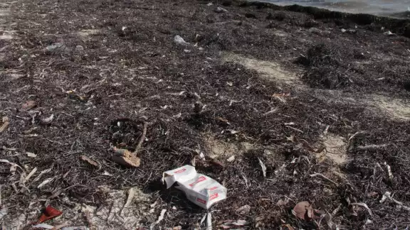 Organizaciones ambientalistas abogan por el fomento de una cultura de responsabilidad y conciencia ecológica entre los turistas