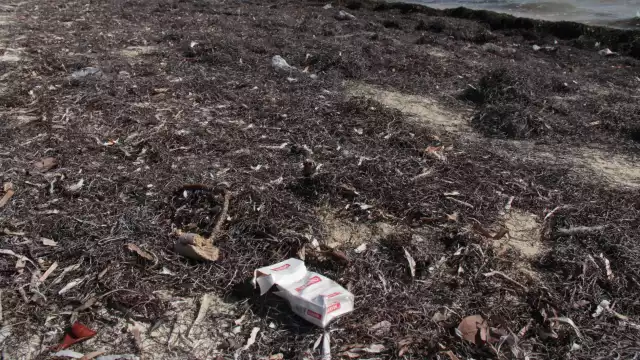 Organizaciones ambientalistas abogan por el fomento de una cultura de responsabilidad y conciencia ecológica entre los turistas