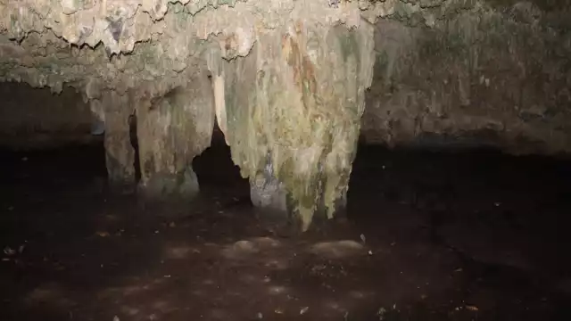El nivel de varios cenotes de Yucatán ha descendido hasta los 50 centímetros en tan sólo abril y mayo