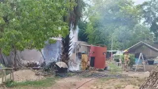 Incendio de una palmera de guano en colonia de Miraflores, moviliza a bomberos de José María Morelos 