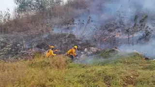 Suman más de dos mil hectáreas quemadas por incendios en Yucatán