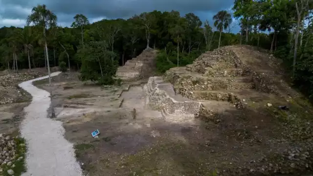Estos son los días que se podrá ingresar de forma gratuita