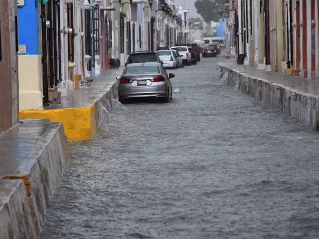 Las temperaturas máximas serán de 40 grados