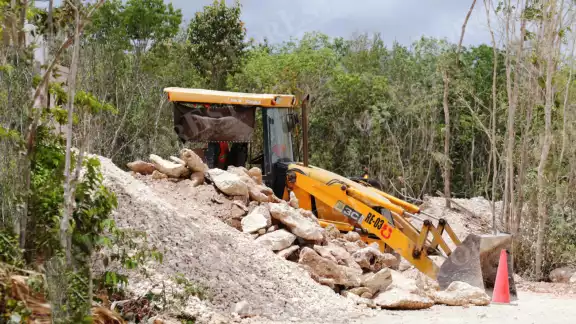 En muchas ocasiones, las constructoras llegan y devastan con maquinaria pesada o quemas, antes de siquiera tener la Manifestación de Impacto Ambiental
