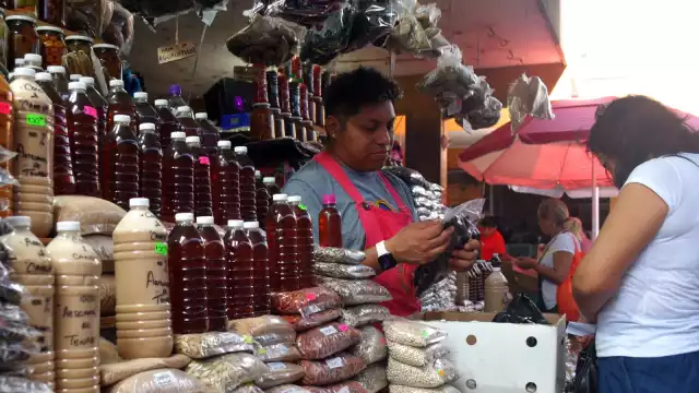 Campeche produce la mejor miel del mundo y lidera la producción nacional, con hasta 8 mil toneladas anuales