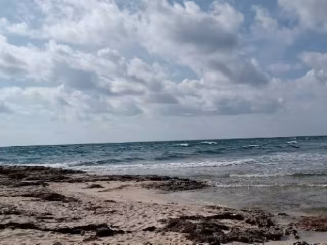 Cierran puerto y suspenden actividades de Punta Brava a Punta Allen.