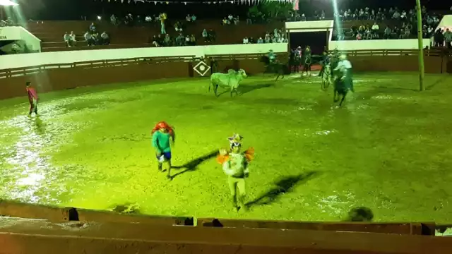 Con un amparo han podido realizar el baxal toro, también conocido como charlotada