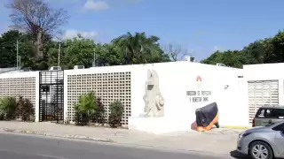 Denuncian sacrificio masivo de perros y gatos en el Centro de Bienestar Animal de Cancún
