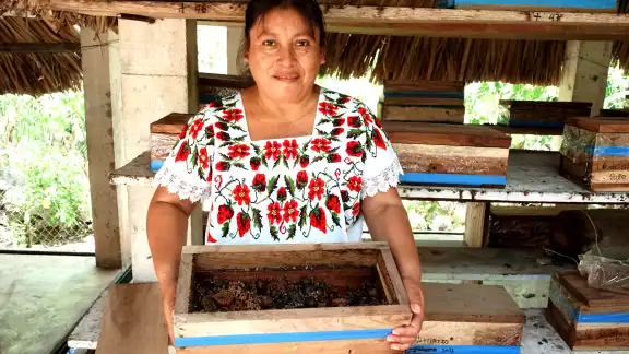 Más de 150 mujeres fueron capacitadas para elaborar propóleo, velas y jabones, con los que logran libertad financiera Más de 150 mujeres fueron capacitadas para elaborar propóleo, velas y jabones, con los que logran libertad financiera