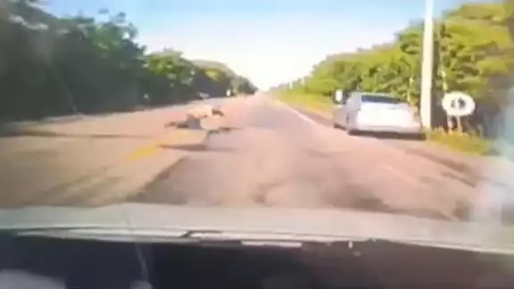 Hombre pierde la vida al ser arrollado en la carretera federal 180; conductor detenido