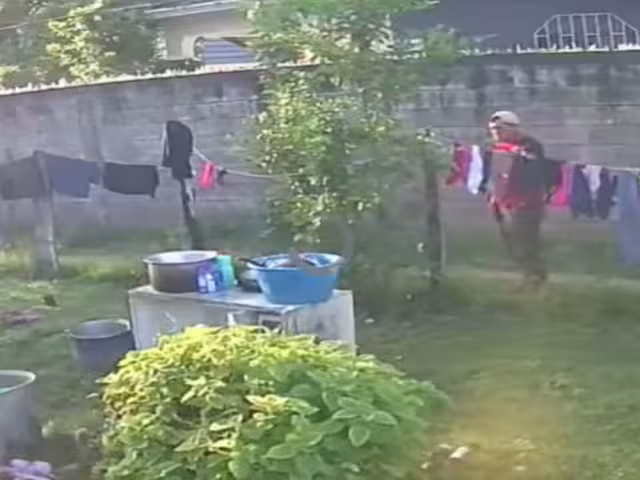 Magaly Morales, habitante de la colonia 10 de Mayo, compartió imágenes de un hombre desconocido robando prendas íntimas de un tendero