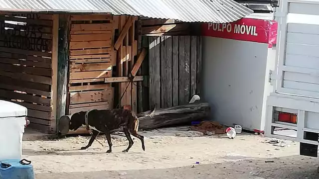 La mayoría de las denuncias se presentaron en Lerma