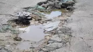 Baches siguen dando problemas a campechanos 