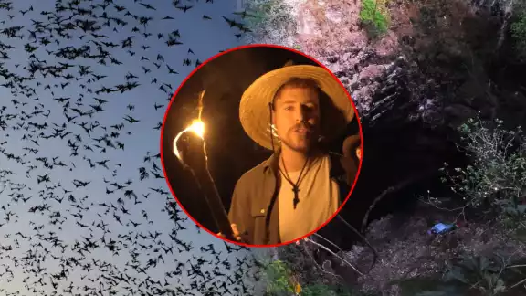Mr. Beast intentó descender a una cueva en Campeche con más de 3.5 millones de murciélagos. Mr. Beast intentó descender a una cueva en Campeche con más de 3.5 millones de murciélagos.