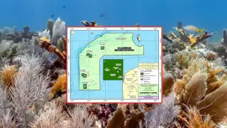 Publican en el DOF decreto de nueva reserva marina que comparten Campeche y Yucatán 