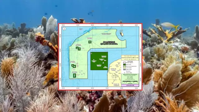 La reserva abarca más de 4,109,731.42 hectáreas y protege 3,097 especies marinas