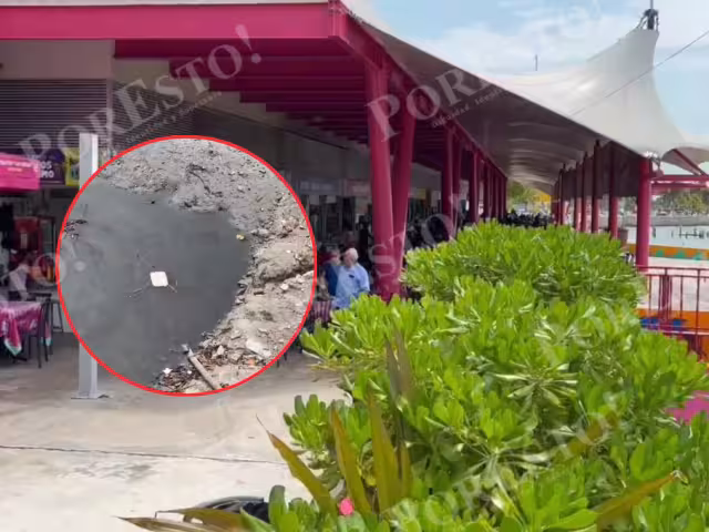 Fétidos olores y drenajes colapsados, así sobreviven locatarios del Mercado Alonso Felipe Andrade