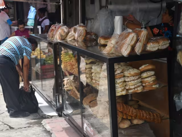 Se espera un repunte con la temporada de lluvias