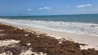 Zofemat prevé playas limpias en Costa Mujeres este fin de semana