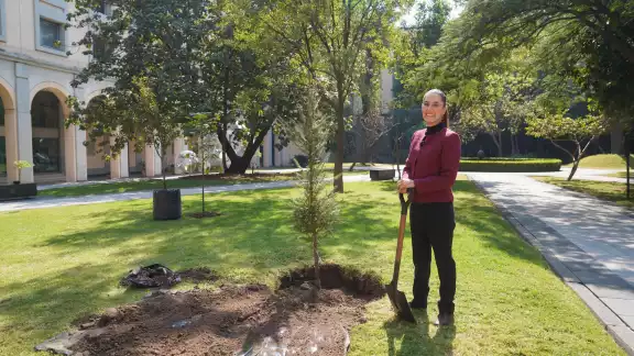 La presidenta de México, Claudia Sheinbaum, deseó un feliz 2025 a través de sus redes sociales La presidenta de México, Claudia Sheinbaum, deseó un feliz 2025 a través de sus redes sociales