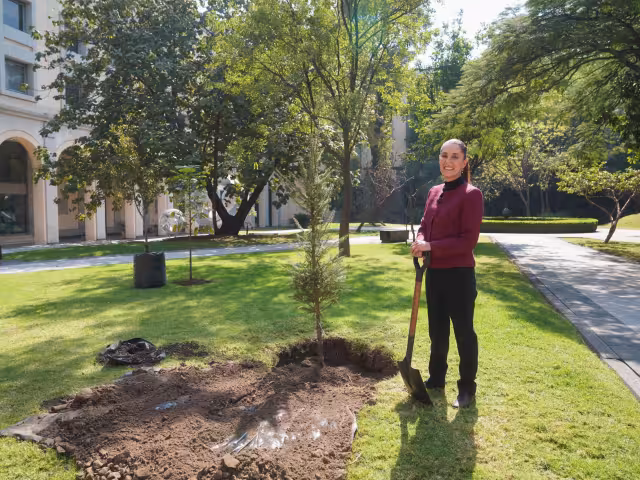 La presidenta de México, Claudia Sheinbaum, deseó un feliz 2025 a través de sus redes sociales