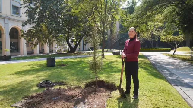 La presidenta de México, Claudia Sheinbaum, deseó un feliz 2025 a través de sus redes sociales