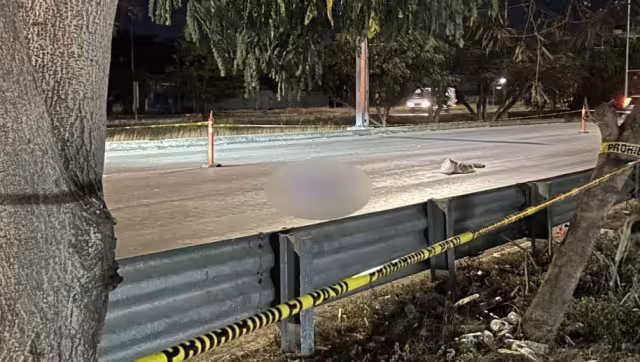 La víctima llevaba consigo una bolsa que contenía cartones y botellas de plástico